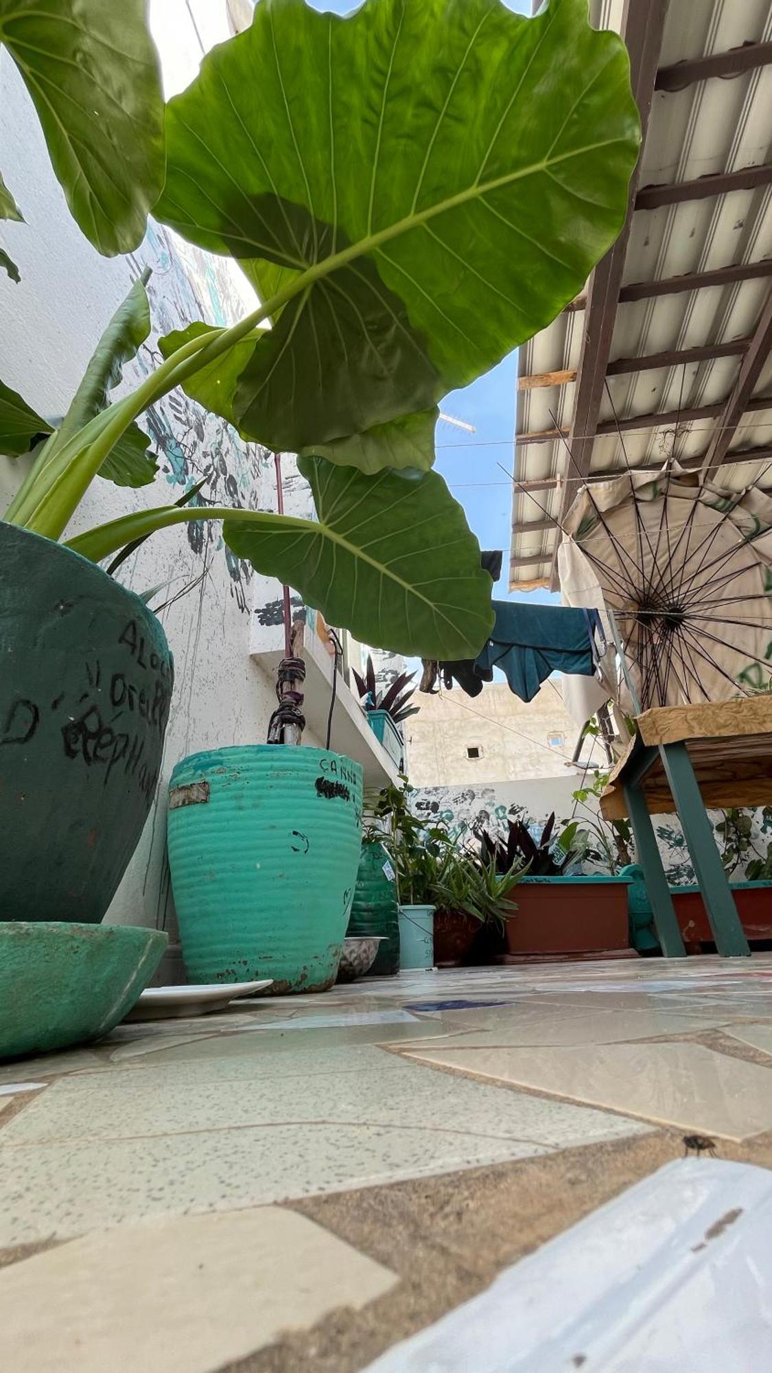 Dar Dyali Rooftop ⁿᵉᵃʳ ⁿᵍᵒʳ ᵇᵉᵃᶜʰ ᵃⁿᵈ ⁱˢˡᵃⁿᵈ Dakar Eksteriør billede