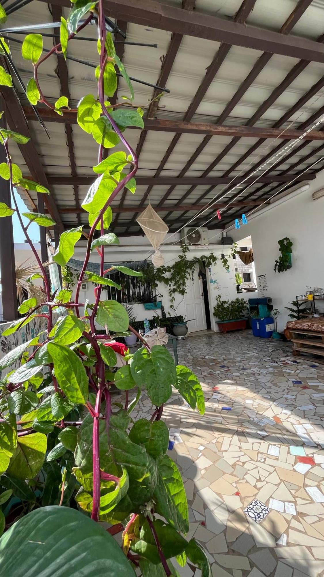 Dar Dyali Rooftop ⁿᵉᵃʳ ⁿᵍᵒʳ ᵇᵉᵃᶜʰ ᵃⁿᵈ ⁱˢˡᵃⁿᵈ Dakar Eksteriør billede
