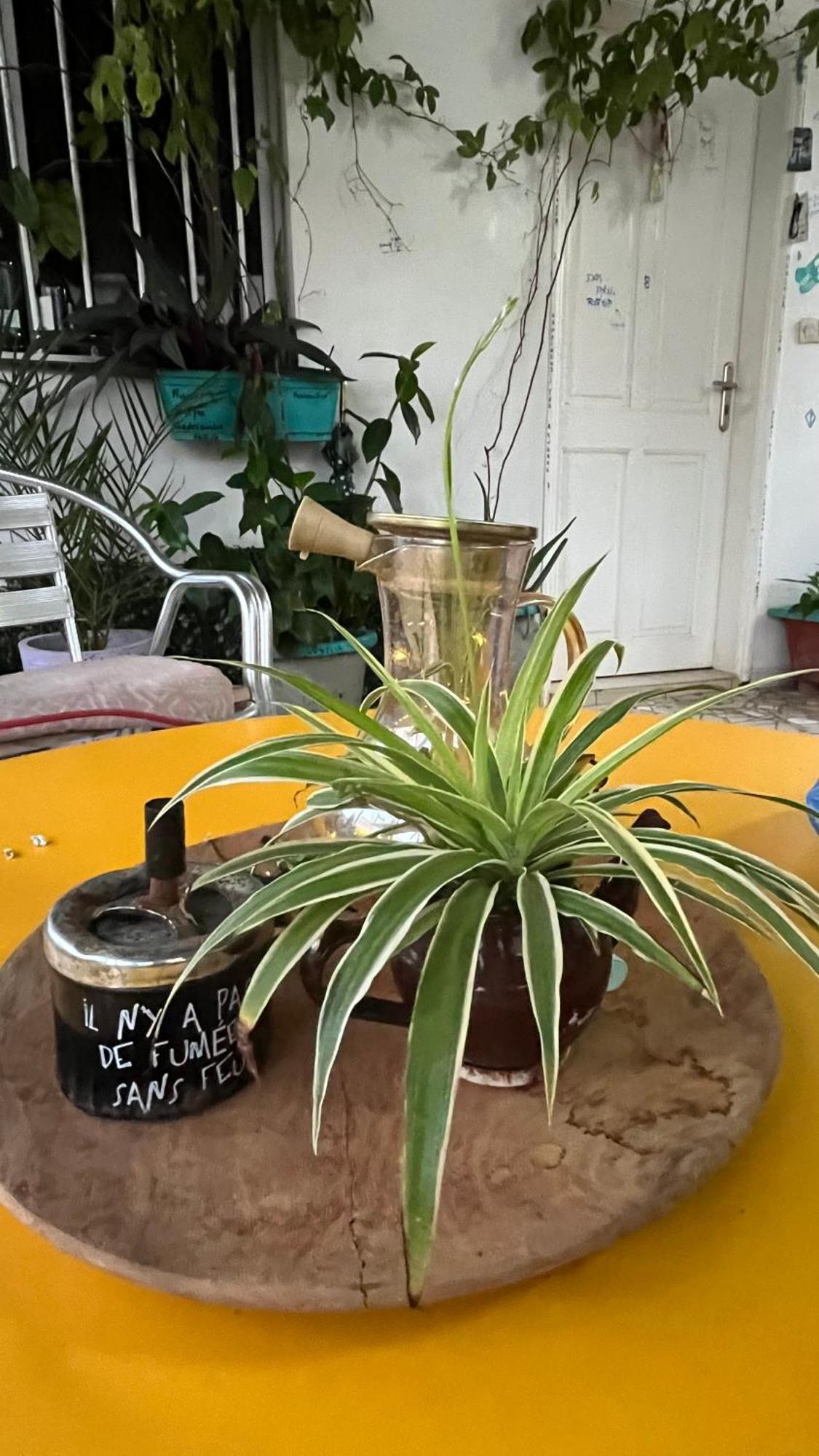 Dar Dyali Rooftop ⁿᵉᵃʳ ⁿᵍᵒʳ ᵇᵉᵃᶜʰ ᵃⁿᵈ ⁱˢˡᵃⁿᵈ Dakar Eksteriør billede